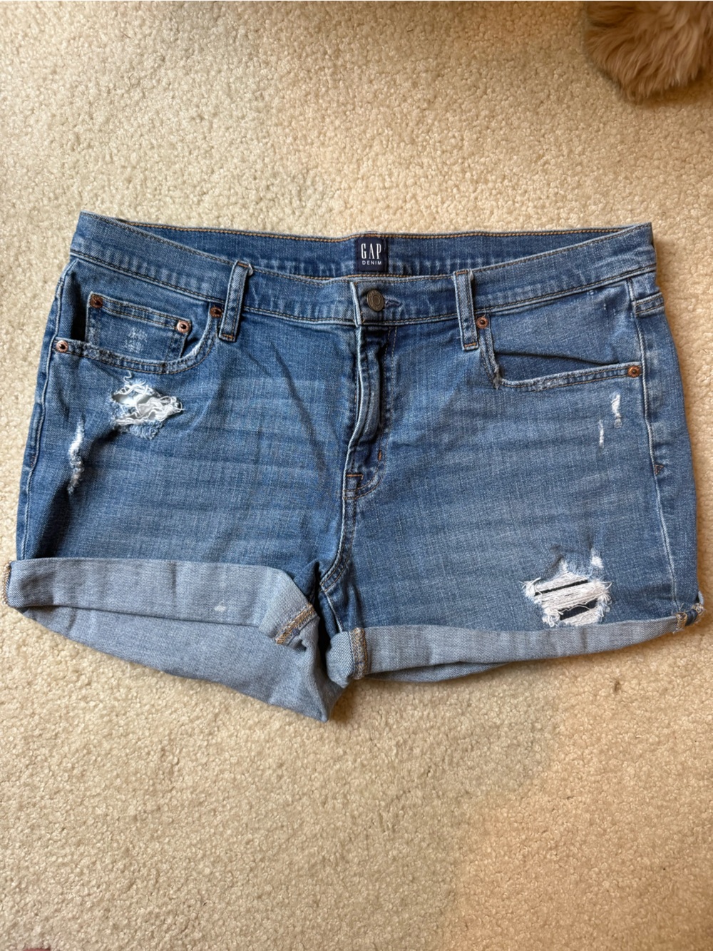 GAP Distressed Denim Shorts in Medium Blue